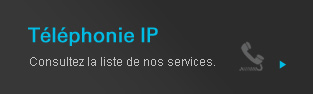 Téléphonie IP