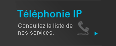 Téléphonie IP