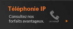 Téléphonie IP